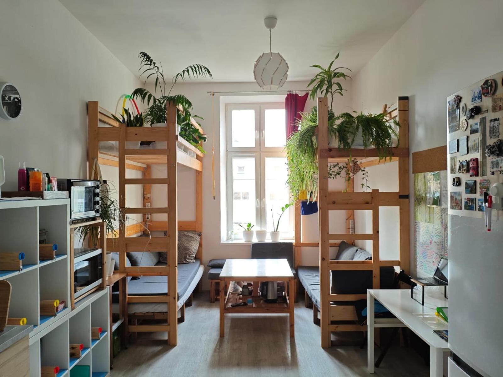 Evergreen Hostel كراكوفيا المظهر الخارجي الصورة