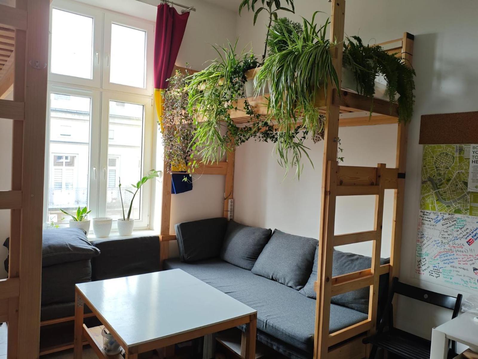 Evergreen Hostel كراكوفيا المظهر الخارجي الصورة